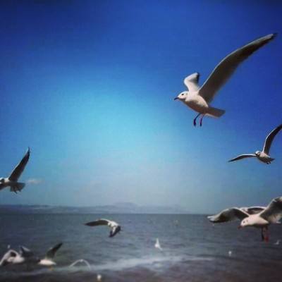 智造合伙人 | 不止智造，更是 “...