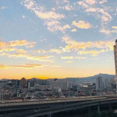 美国移民与海关执法局人员开始参与机场旅客安检 因TSA人手短缺